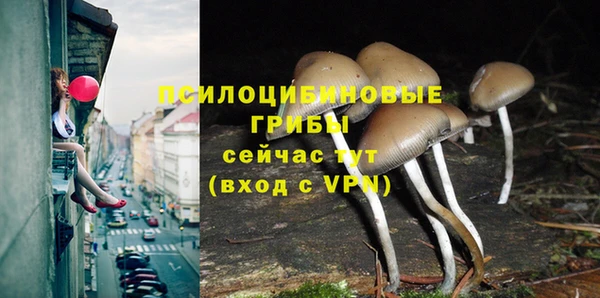 бутират Алексин